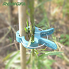 园艺塑料弹簧植物夹